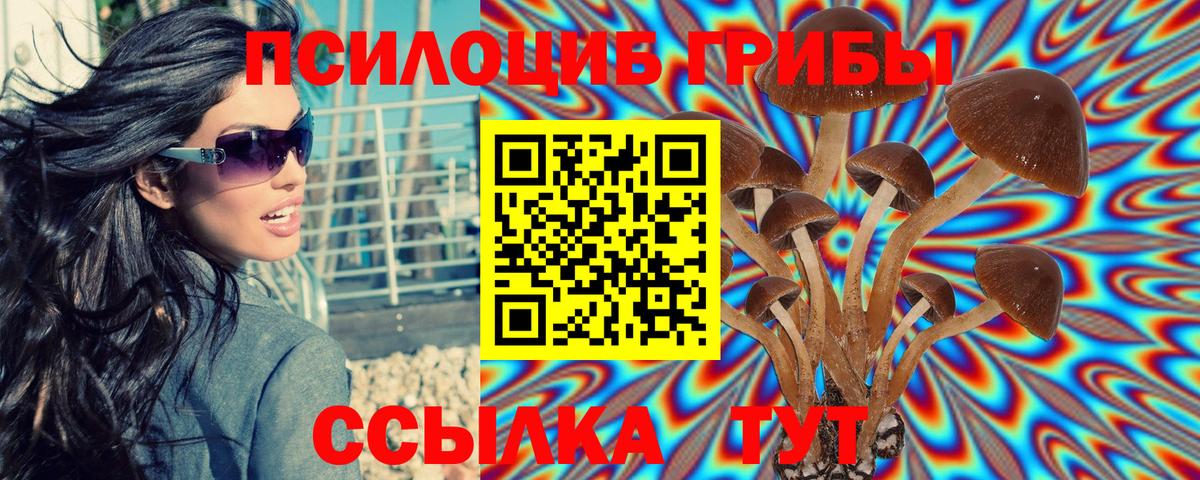Новоалтайск  Галлюциногенные грибы ЛСД  Галлюциногенные грибы MAGIC MUSHROOMS  Вход с VPN 